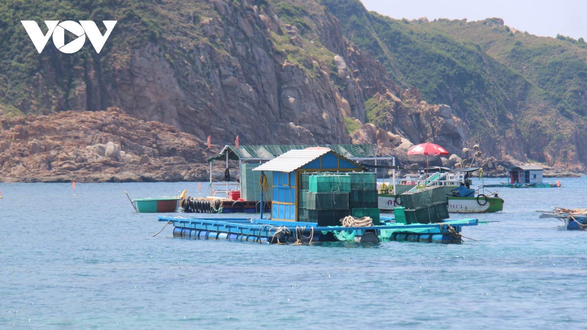 Chấn chỉnh bè nổi hoạt động trái phép ở Hòn Khô, Bình Định